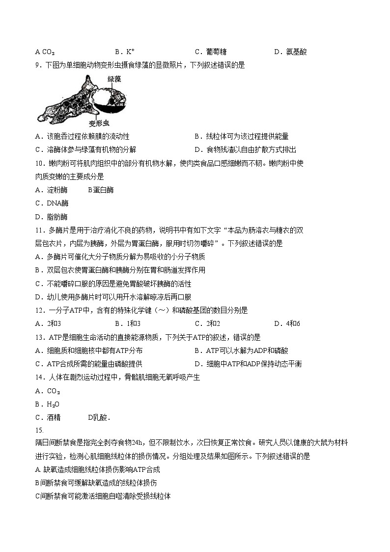 北京市铁路第二中学2025_2026学年高一上学期1月期末生物试题(文字版含答案)第2页