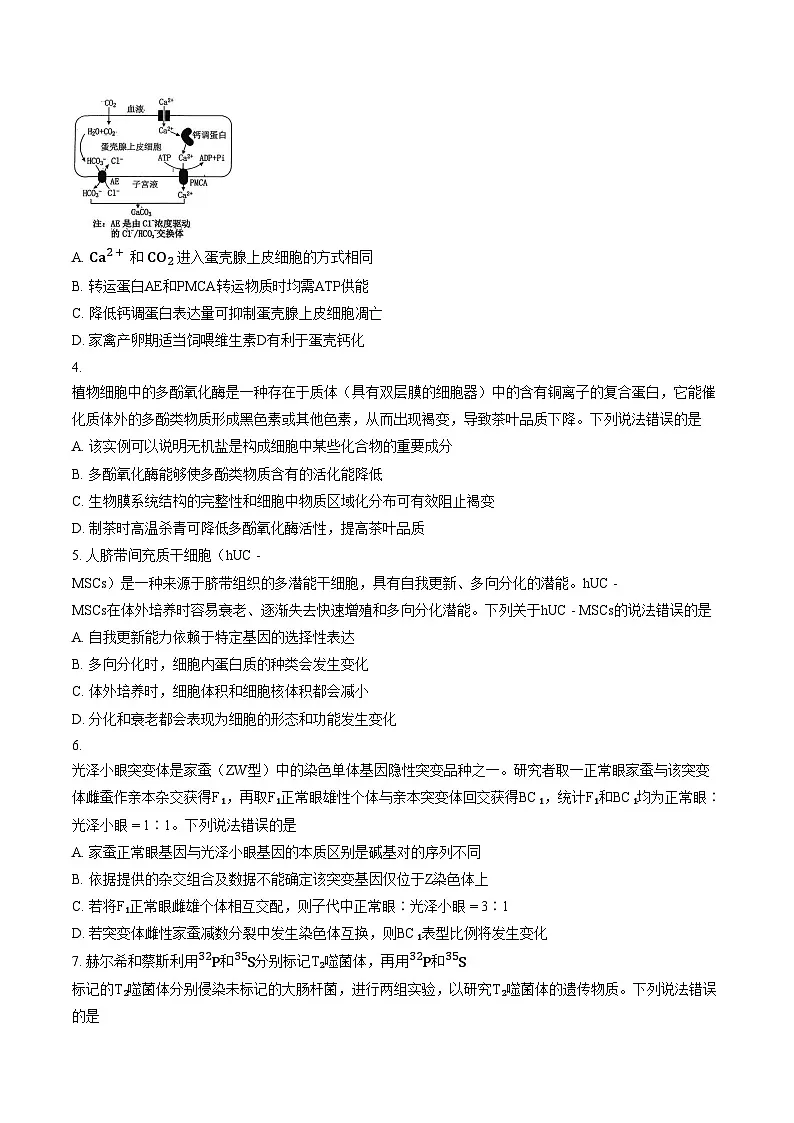 山东省烟台市2025_2026学年度第一学期高三年级期末学业质量水平诊断生物试卷（文字版，含答案）第2页