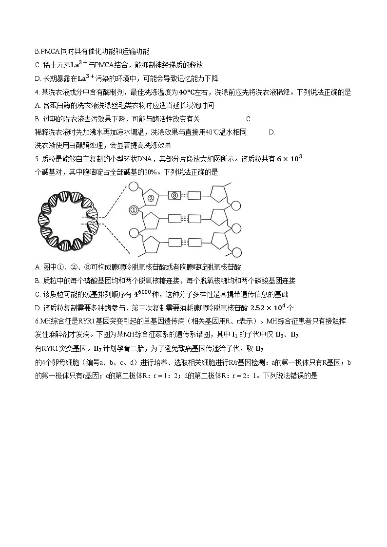 2026届山东省滨州市高三上学期期末考试生物试卷(文字版含答案)第2页