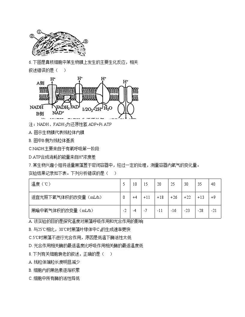 江苏省南通市海安市实验中学2025_2026学年高一上学期第二次月考生物试题（文字版，含答案）第2页