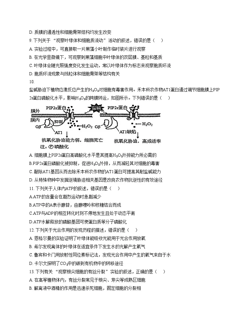 江苏省南通市海安市实验中学2025_2026学年高一上学期第二次月考生物试题（文字版，含答案）第3页