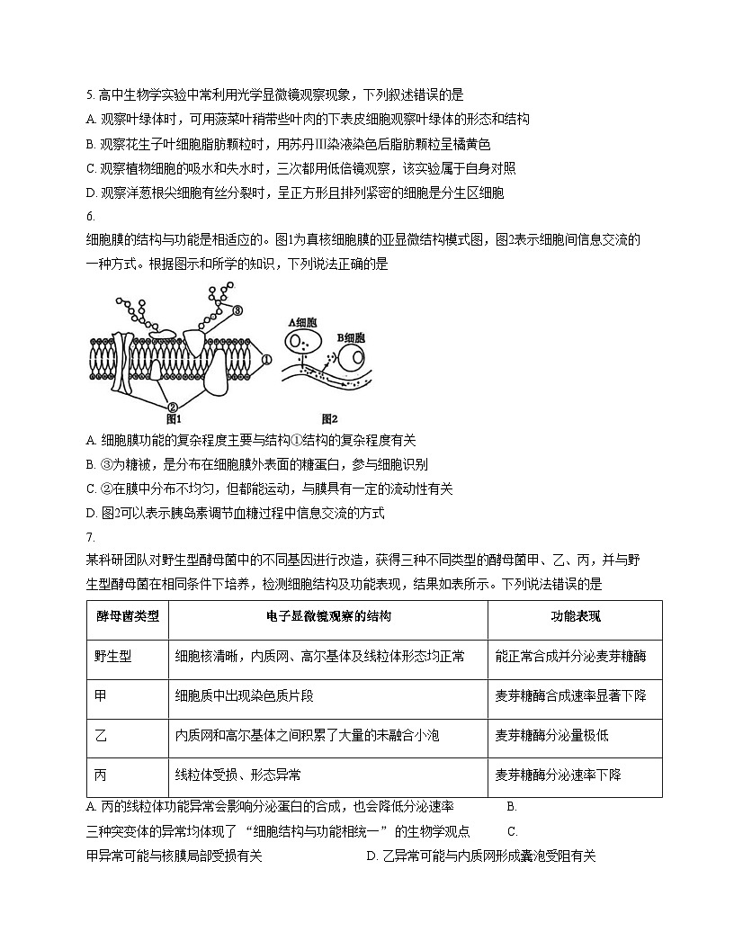 黑龙江省大庆实验中学实验二部2025_2026学年高一上学期期末考试生物试题（文字版，含答案）第2页