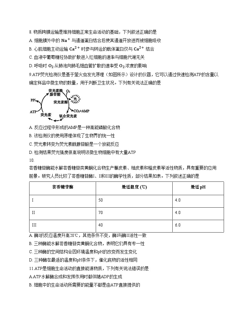 黑龙江省大庆实验中学实验二部2025_2026学年高一上学期期末考试生物试题（文字版，含答案）第3页