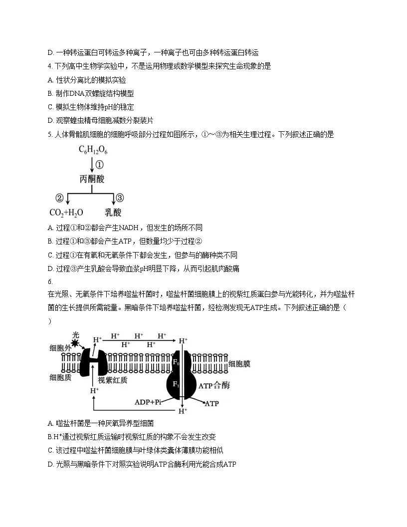 福建省宁德市闽东三校2025_2026学年高三上学期1月月考生物试题（文字版，含答案）第2页