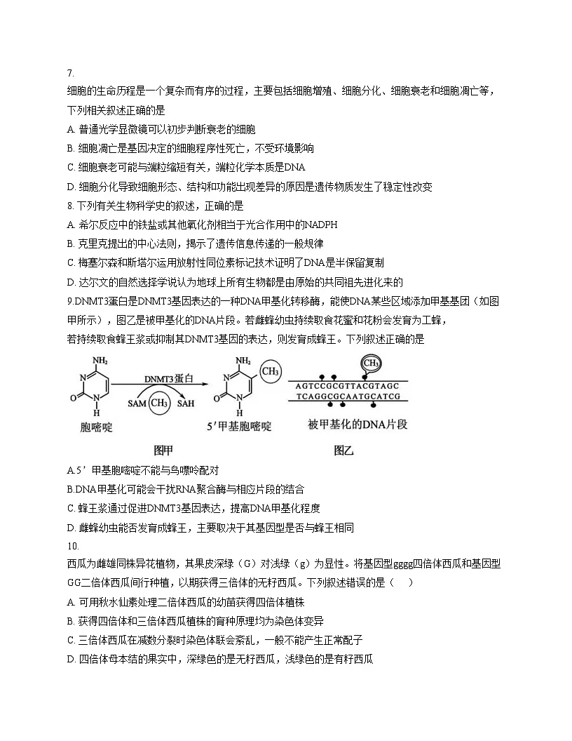福建省宁德市闽东三校2025_2026学年高三上学期1月月考生物试题（文字版，含答案）第3页