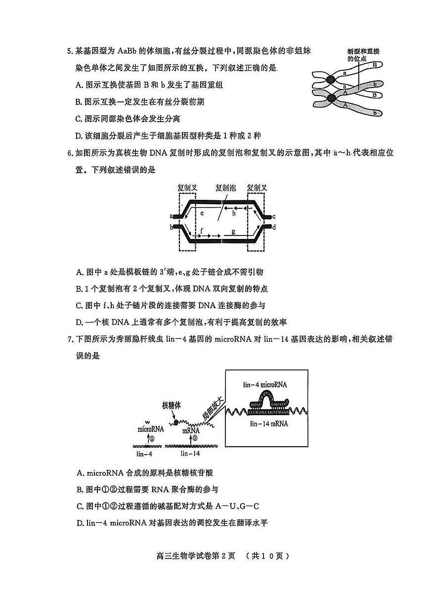 江苏省南京市、盐城市2026届高三上学期期末调研测试 生物试题+答案第2页