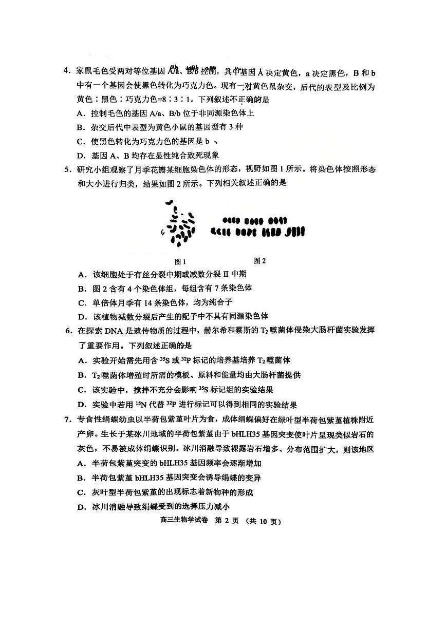2025-2026学年北京市石景山区高三上学期期末考试生物（含答案）试卷第2页