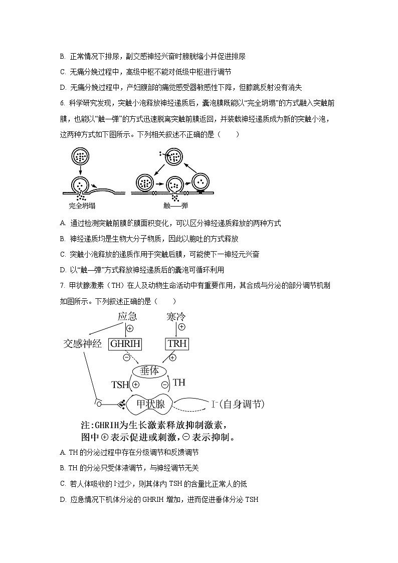 2025-2026学年吉林省长春市部分学校高二上学期期中生物试卷（学生版）第3页
