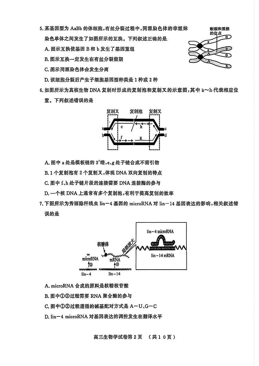 江苏省盐城市、南京市2025-2026学年高三上学期1月期末生物试题第2页