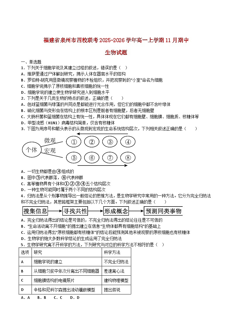 福建省泉州市四校联考2025_2026学年高一生物上学期11月期中测试第1页