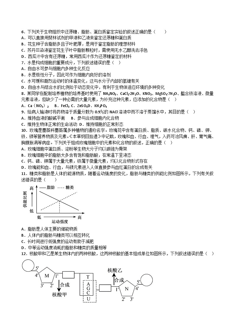福建省泉州市四校联考2025_2026学年高一生物上学期11月期中测试第2页