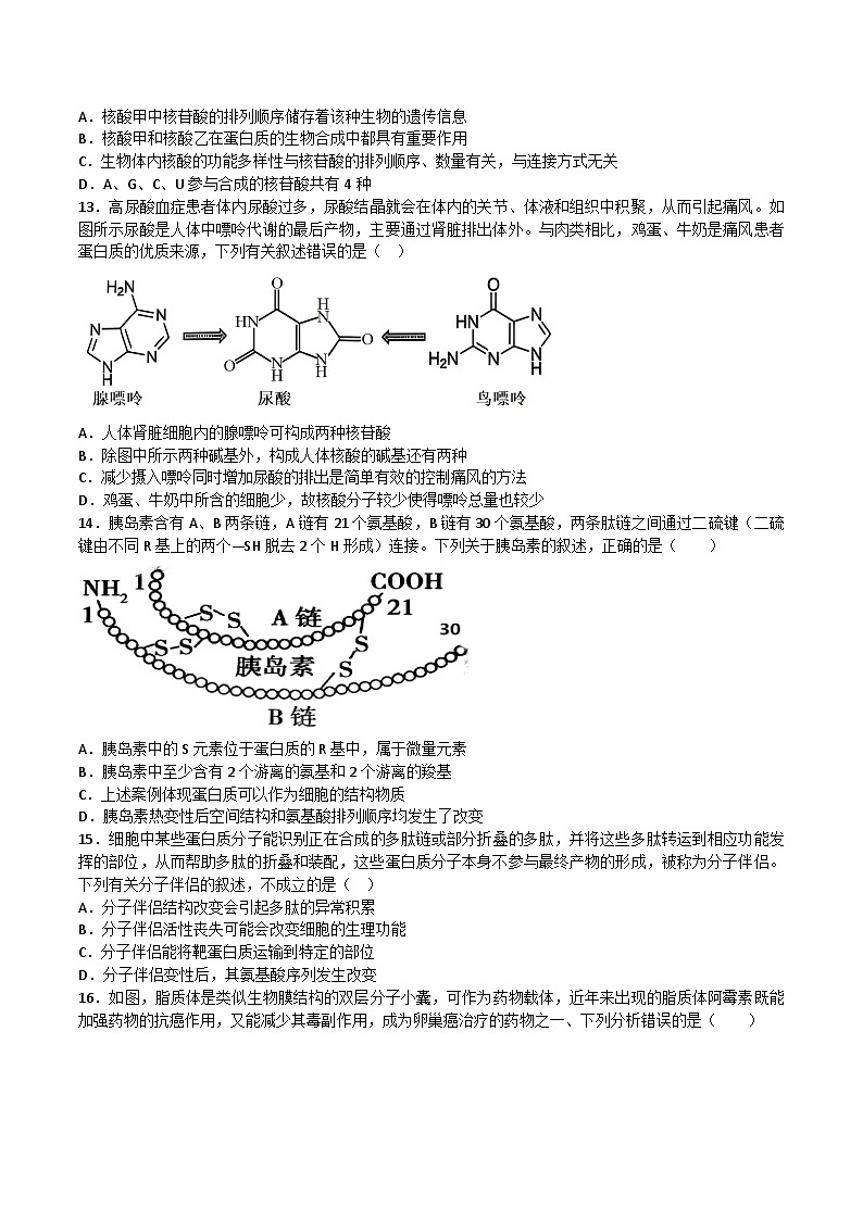 福建省泉州市四校联考2025_2026学年高一生物上学期11月期中测试第3页