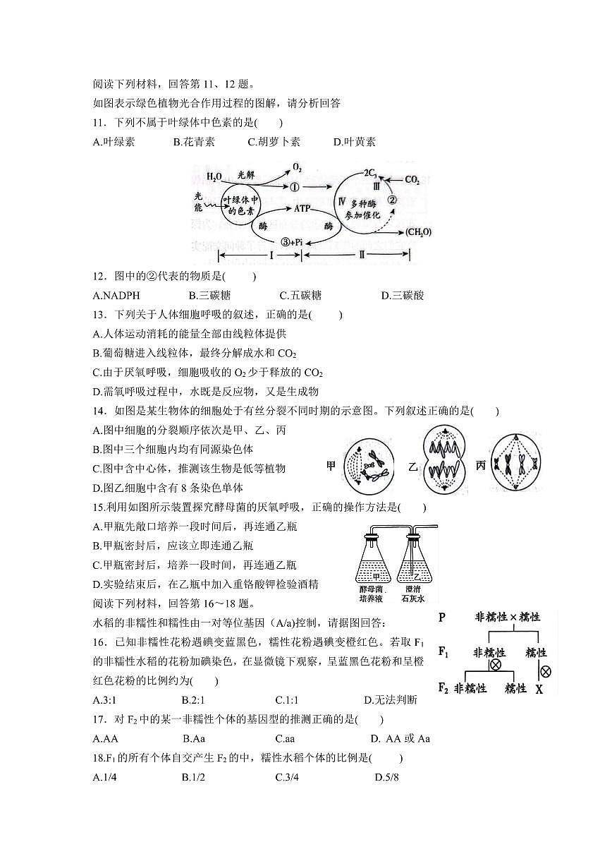 浙江省余姚中学2024-2025学年高一下学期3月月考试生物试卷（无答案）第2页