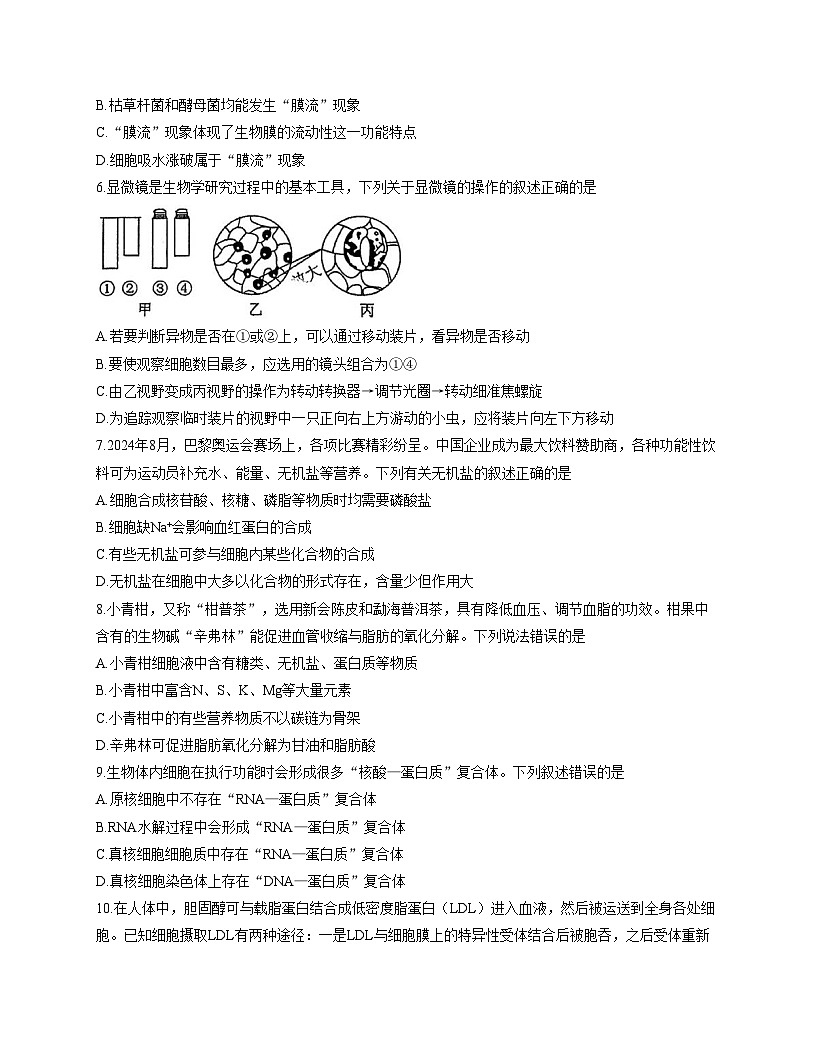 浙江省宁波市鄞州中学2025_2026学年高一上学期12月月考生物试题（文字版，含答案）第2页