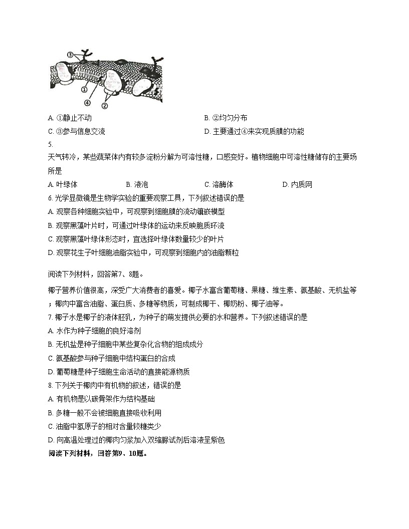 浙江省丽水市庆元中学2025_2026学年高一上学期12月教学质量监控生物试卷（文字版，含答案）第2页