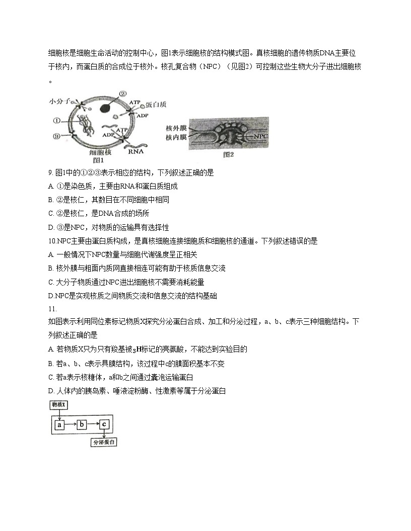 浙江省丽水市庆元中学2025_2026学年高一上学期12月教学质量监控生物试卷（文字版，含答案）第3页