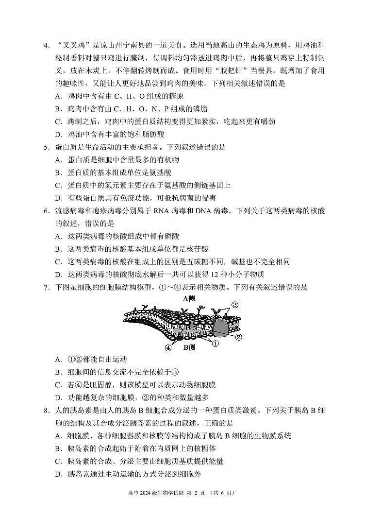 四川省成都市蓉城名校联盟2024-2025学年高一上学期期末考试生物试卷（无答案）第2页