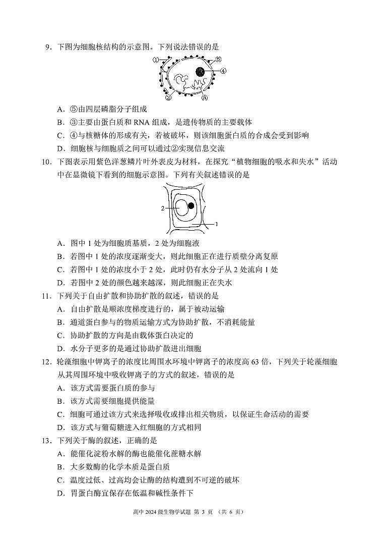 四川省成都市蓉城名校联盟2024-2025学年高一上学期期末考试生物试卷（无答案）第3页
