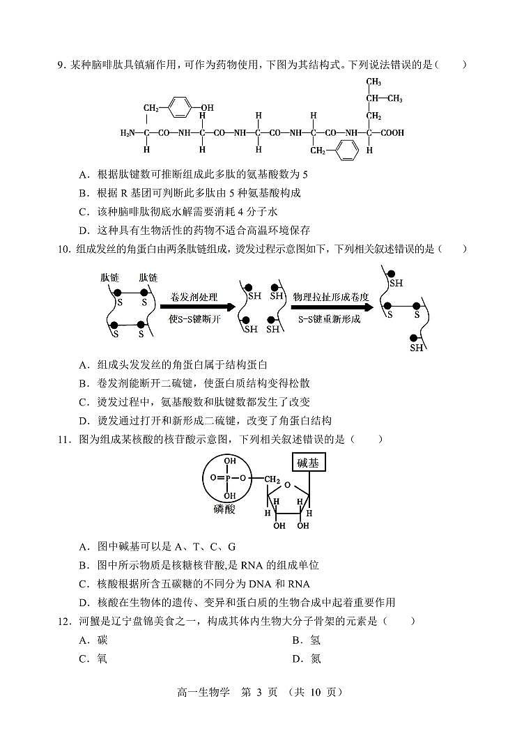 辽宁省沈阳市2024—2025学年高一上学期期末考试生物试题（无答案）第3页