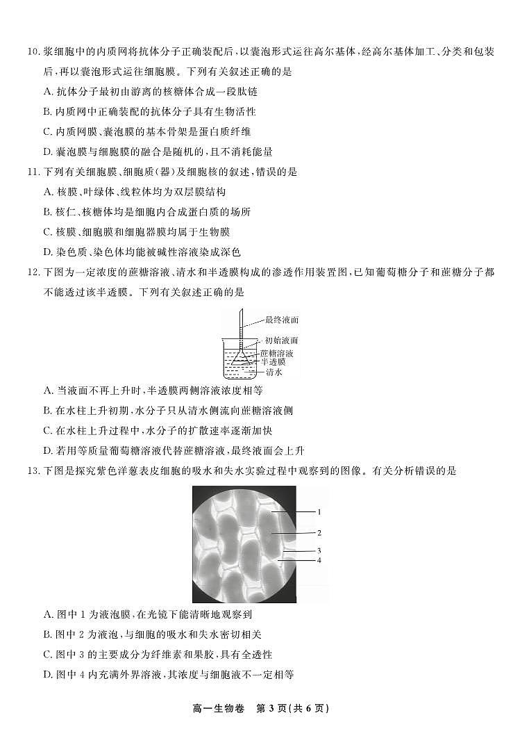 安徽省皖江名校联盟2025-2026学年高一上学期12月联考生物试题第3页