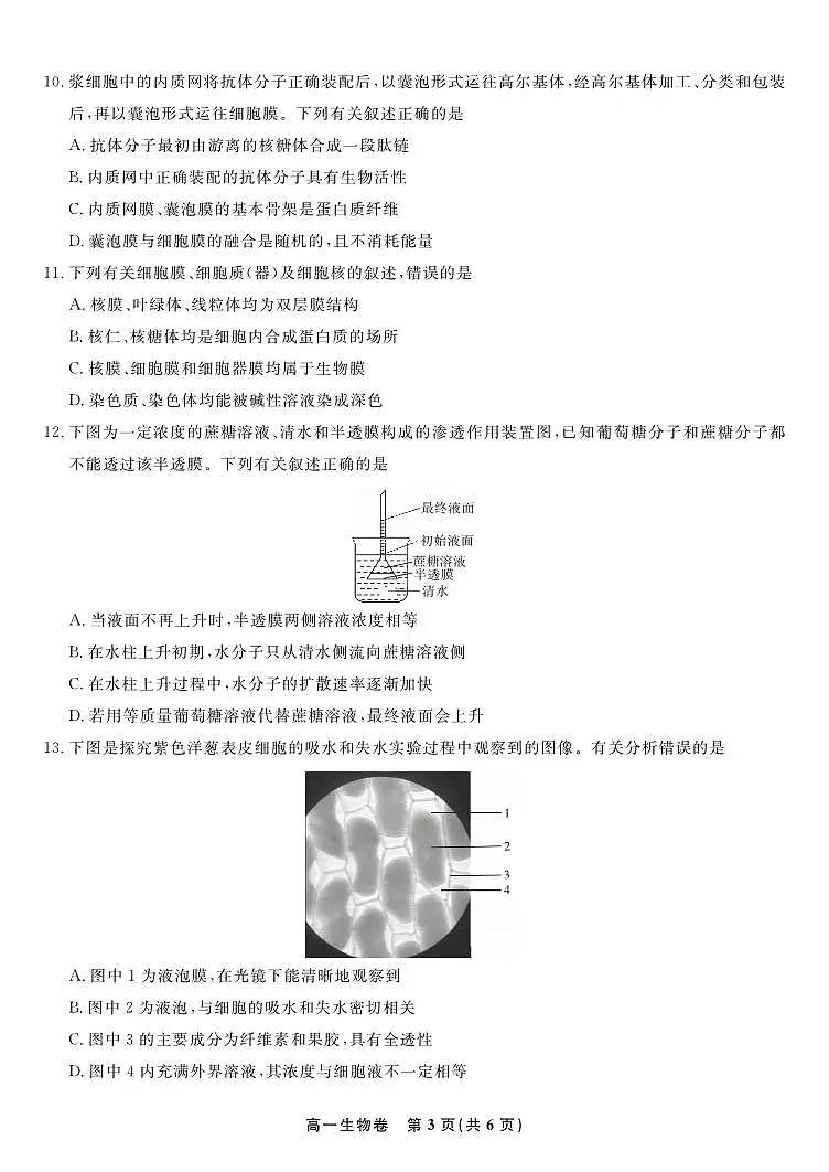 安徽省皖江名校联盟2025-2026学年高一上学期12月联考生物试题第3页