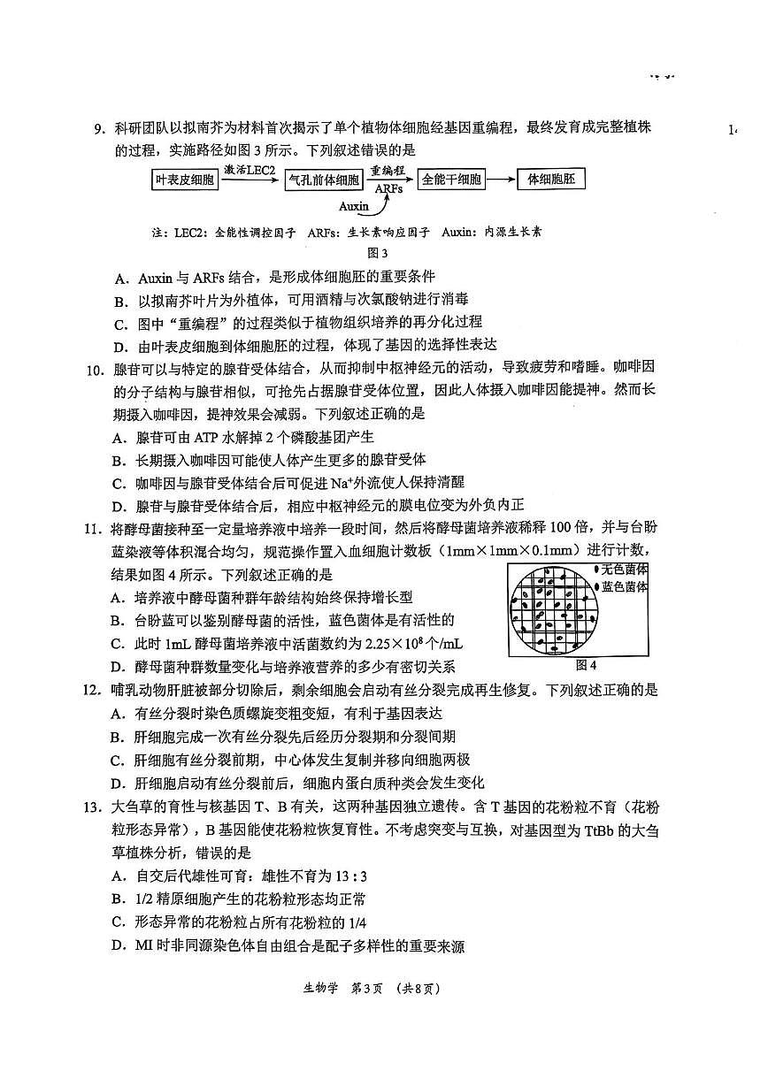 广西柳州市2026届高三上学期第二次模拟考试生物试卷（含答案）第3页