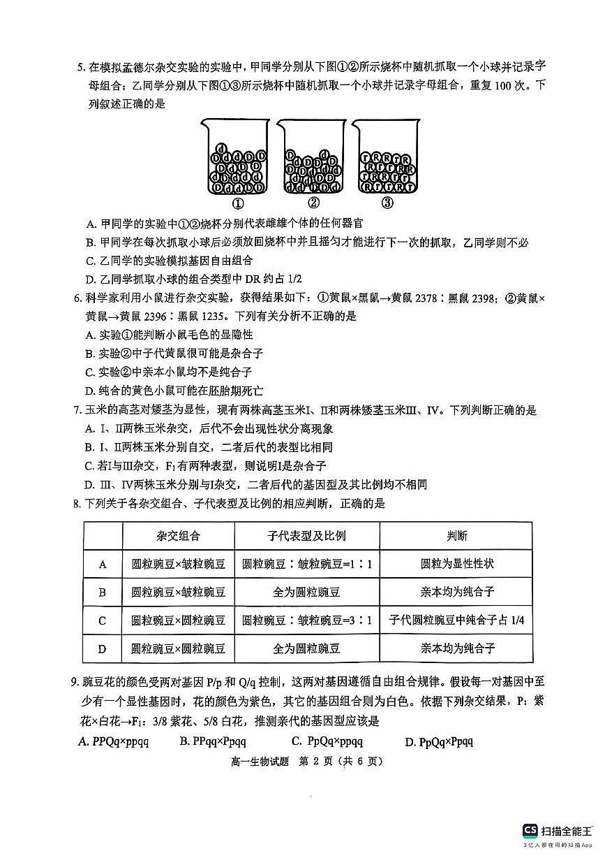河南省驻马店市环际大联考2024-2025学年高一下学期阶段考试（一）生物试卷（无答案）第2页