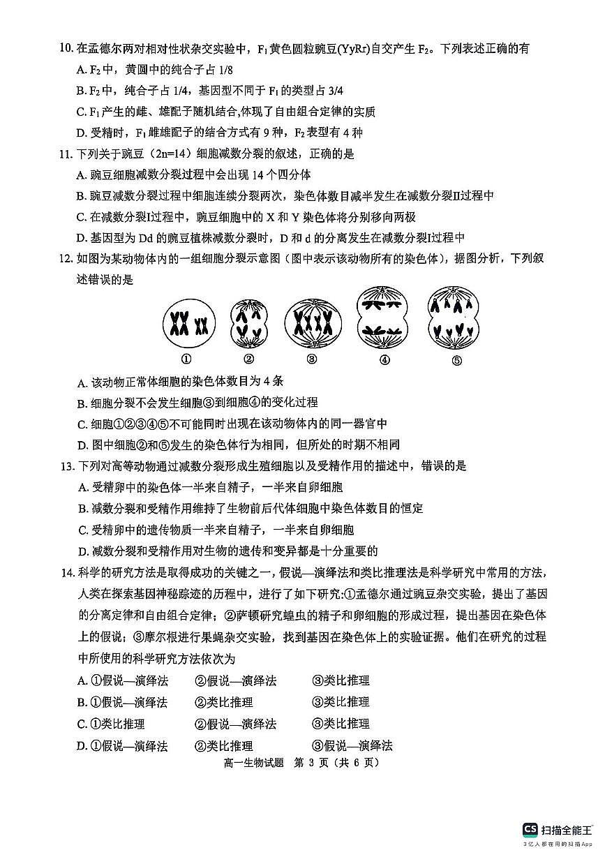 河南省驻马店市环际大联考2024-2025学年高一下学期阶段考试（一）生物试卷（无答案）第3页