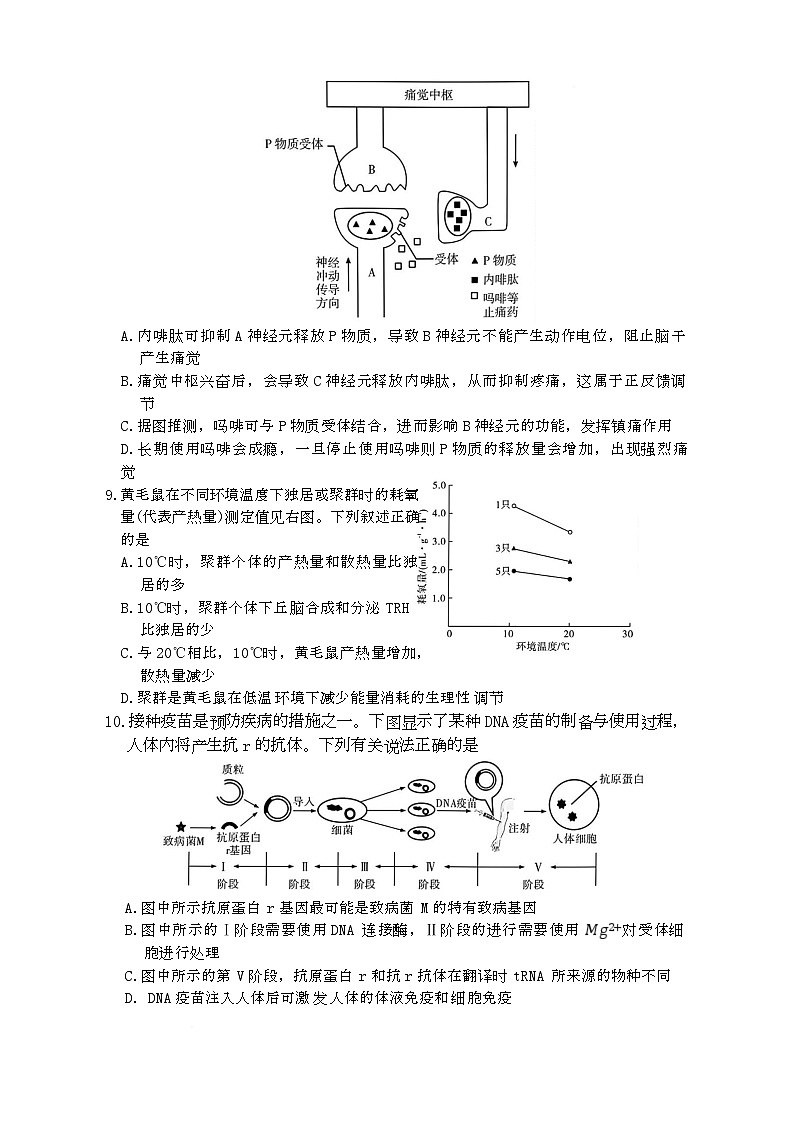 湖南省长沙一中2026届高三上学期月考（五）生物试卷（无答案）第3页