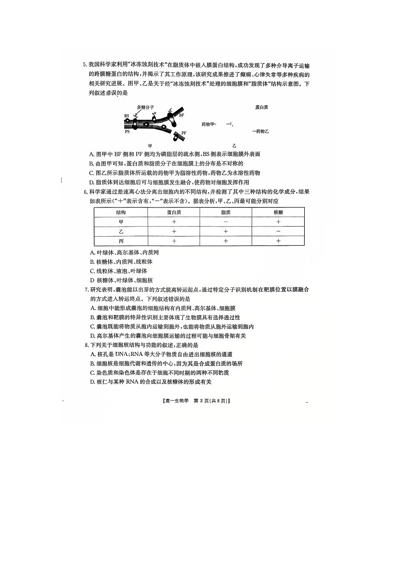 河北省邢台市卓越联盟2025-2026学年高一上学期1月月考生物试卷（无答案）第2页