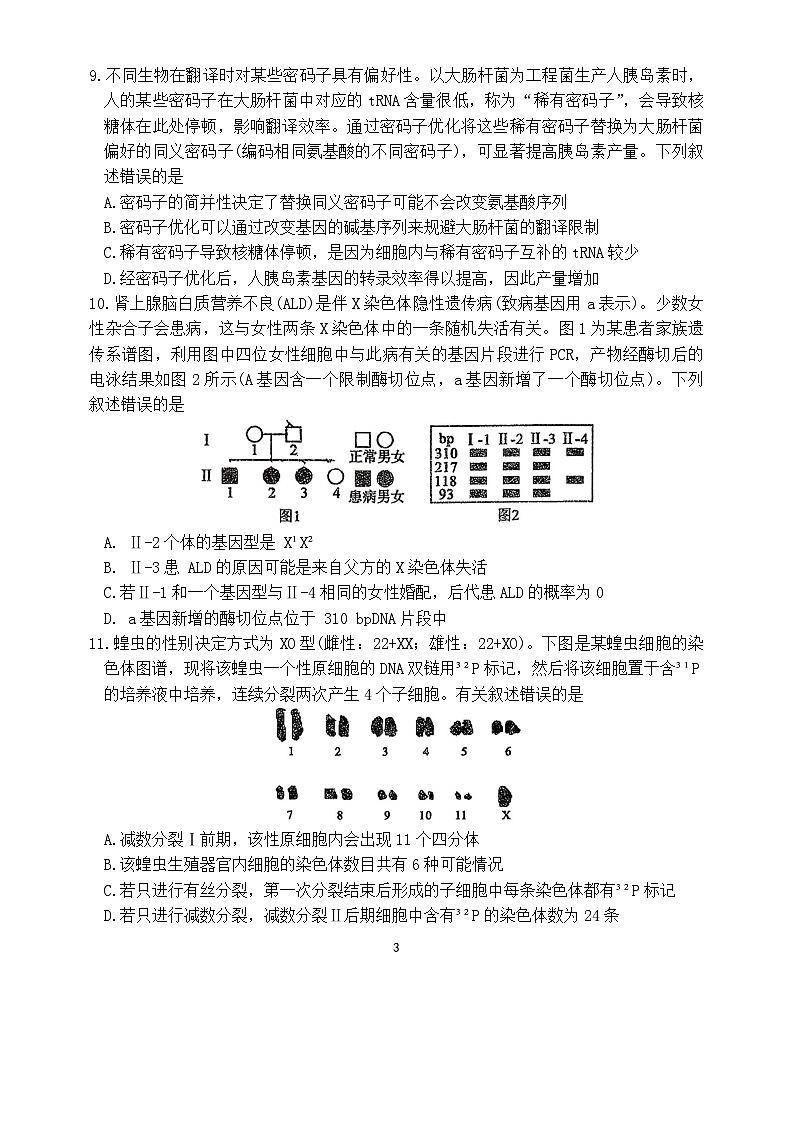 海南省海口市海南中学2025-2026学年高三上学期12月月考生物试卷（无答案）第3页