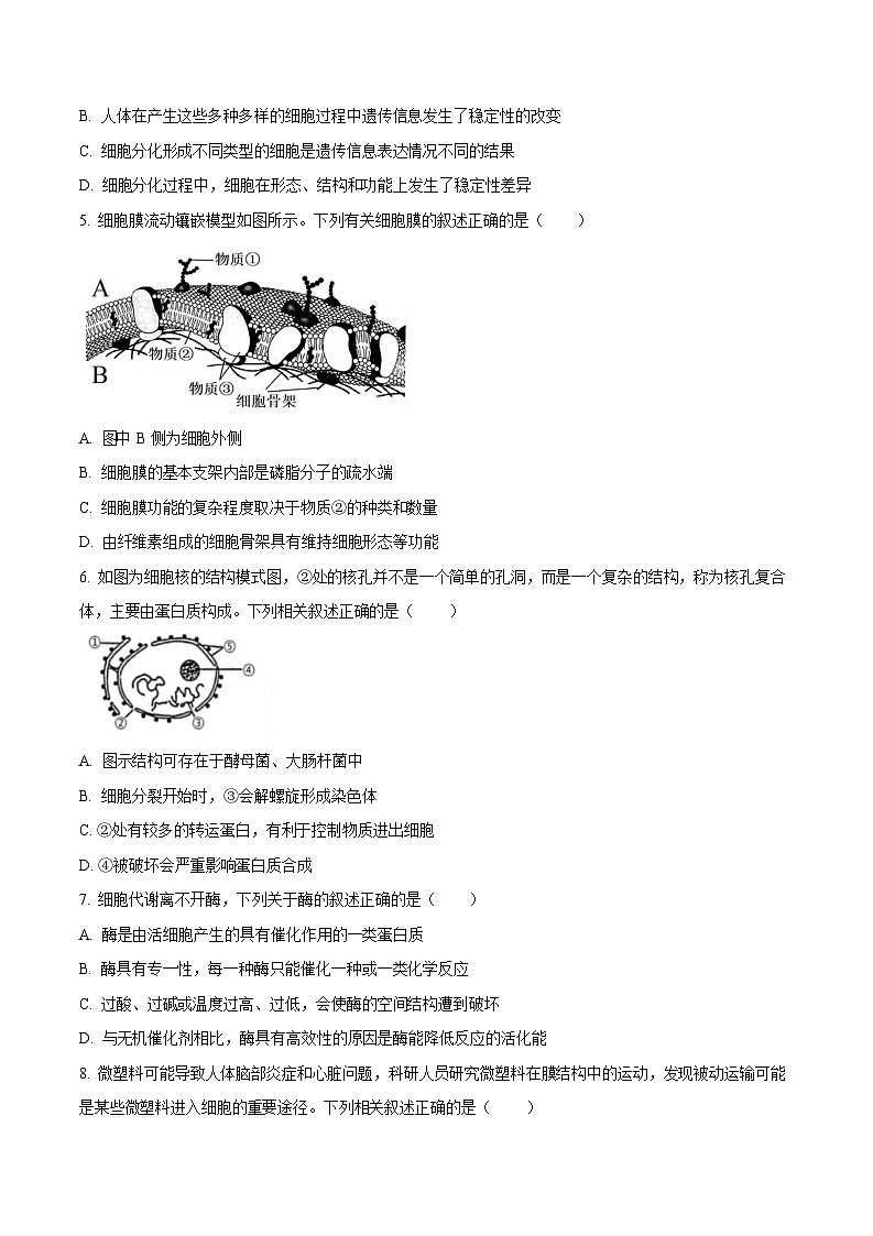吉林省延边朝鲜族自治州2025-2026学年高一上学期期末学业质量检测生物试卷第2页