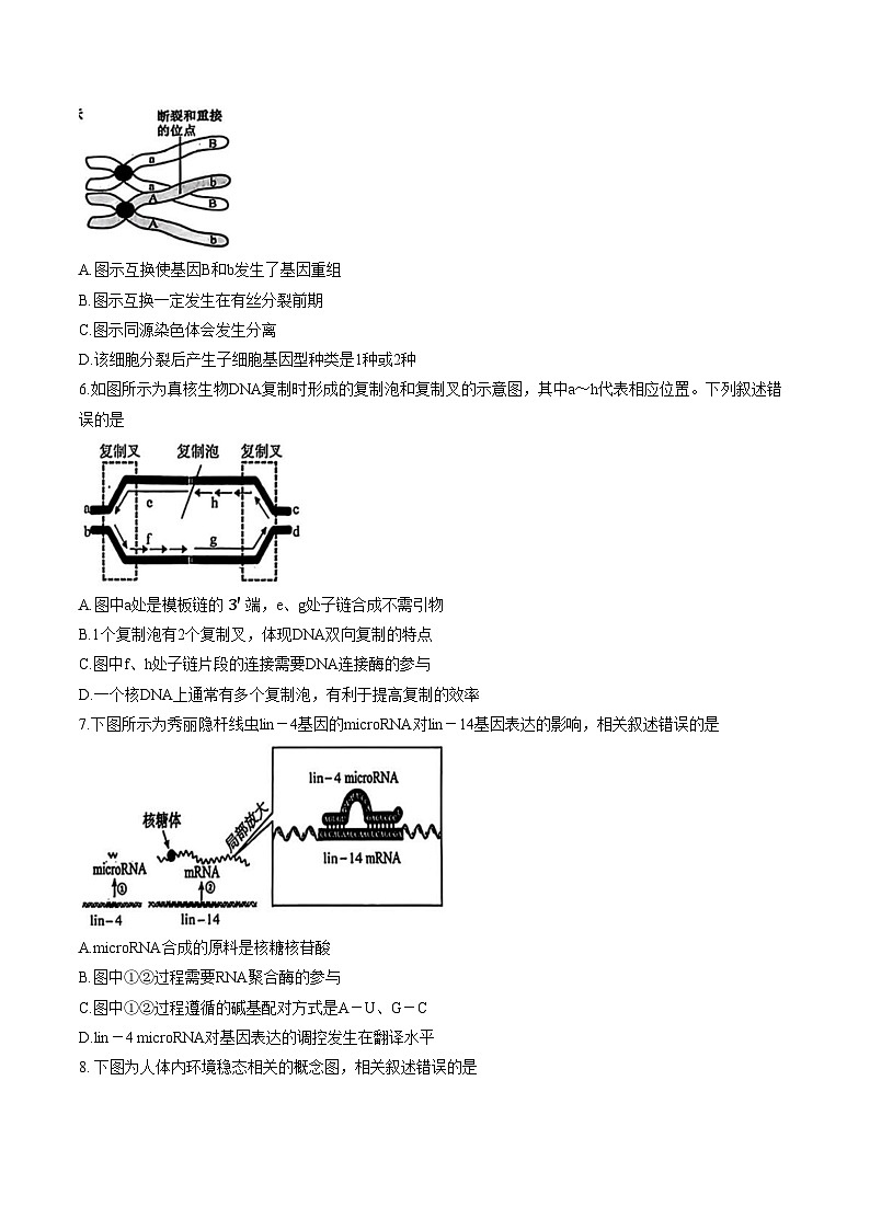 江苏省盐城市、南京市2025_2026学年高三上学期1月期末生物试题（文字版，含答案）第2页