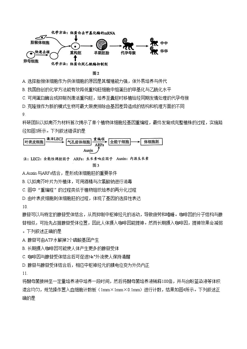广西柳州市2026届高三上学期第二次模拟考试生物试卷（文字版，含答案）第3页