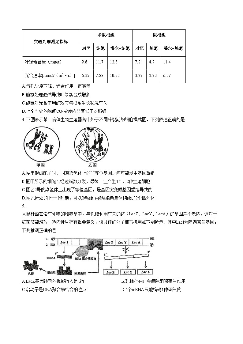 四川省绵阳市2025_2026学年高三上学期1月第二次诊断考试B卷生物试题（文字版，含答案）第2页