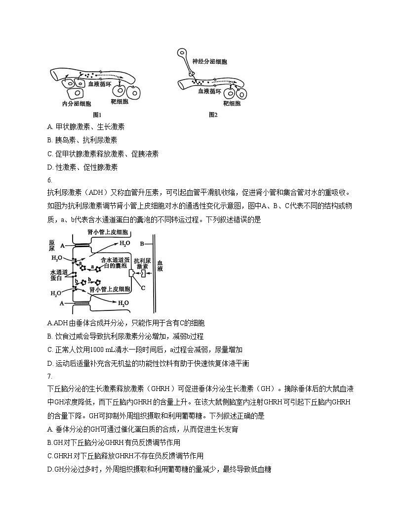 云南省曲靖市富源县第六中学2025_2026学年高二上学期12月月考生物学试卷（文字版，含答案）第3页