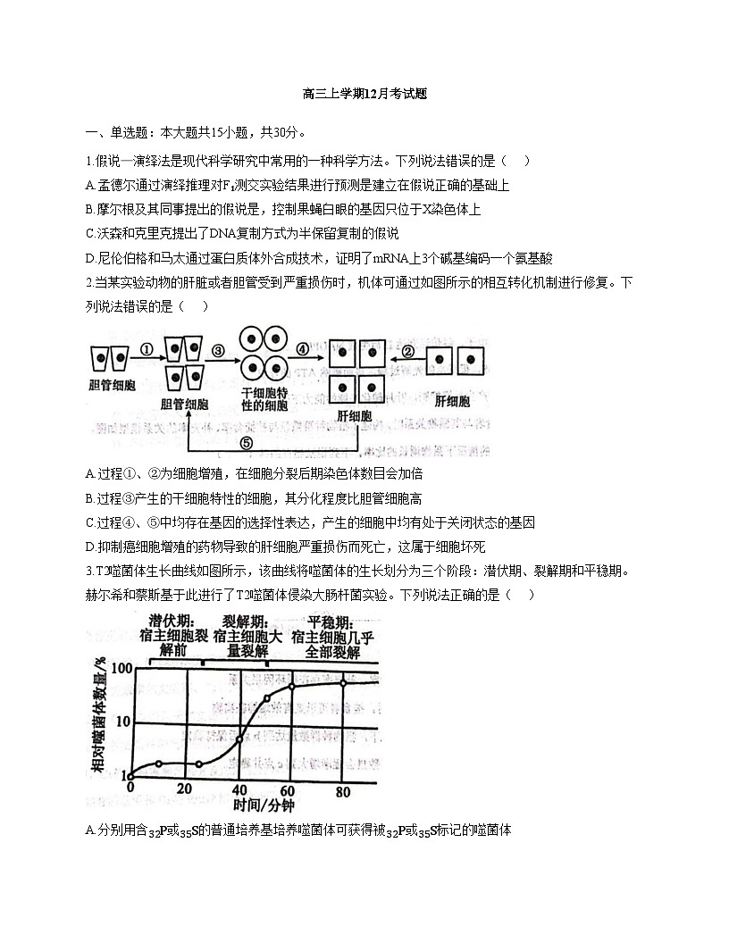 山东省滨州市惠民县第二中学2025_2026学年高三上学期12月测试生物试题（文字版，含答案）第1页