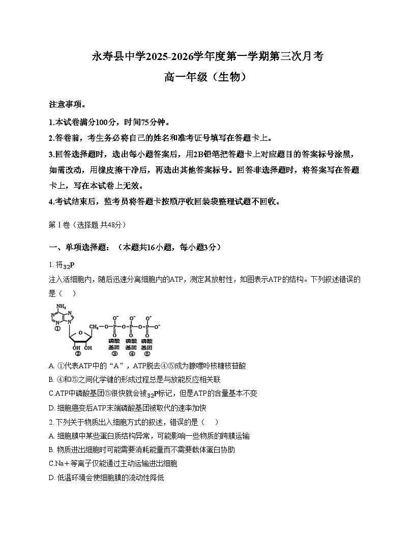 陕西省咸阳市永寿县中学2025—2026学年高一上学期第三次月考生物试题（文字版，含答案）第1页