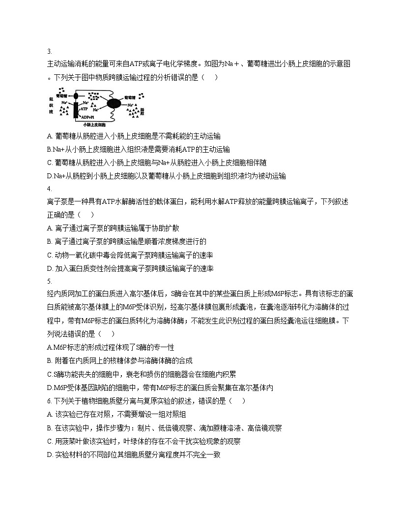 陕西省咸阳市永寿县中学2025—2026学年高一上学期第三次月考生物试题（文字版，含答案）第2页