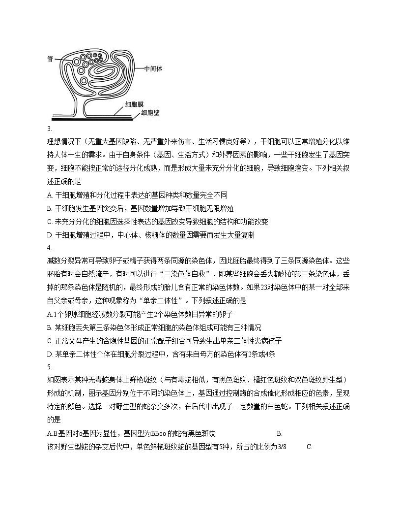 山东省大联考2025_2026学年高三上学期12月月考生物试题（文字版，含答案）第2页