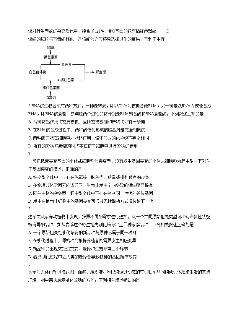 山东省大联考2025_2026学年高三上学期12月月考生物试题（文字版，含答案）第3页