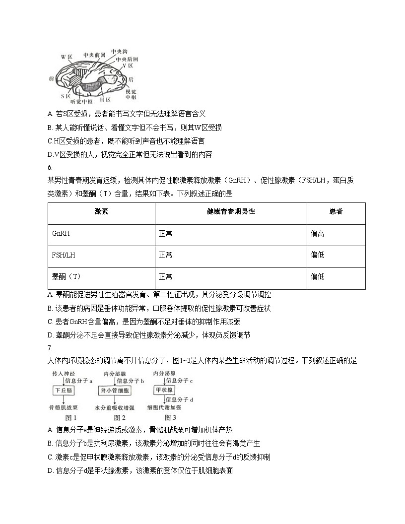四川省大数据智学领航联盟2025_2026学年高二上学期12月学情检测生物试题（文字版，含答案）第3页