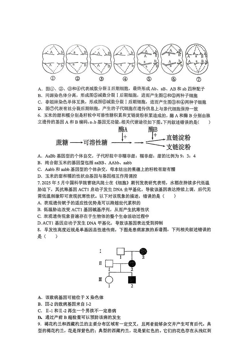 甘肃省兰州市西北师范大学附属中学2025-2026学年高三上学期1月期末考试生物试题第2页