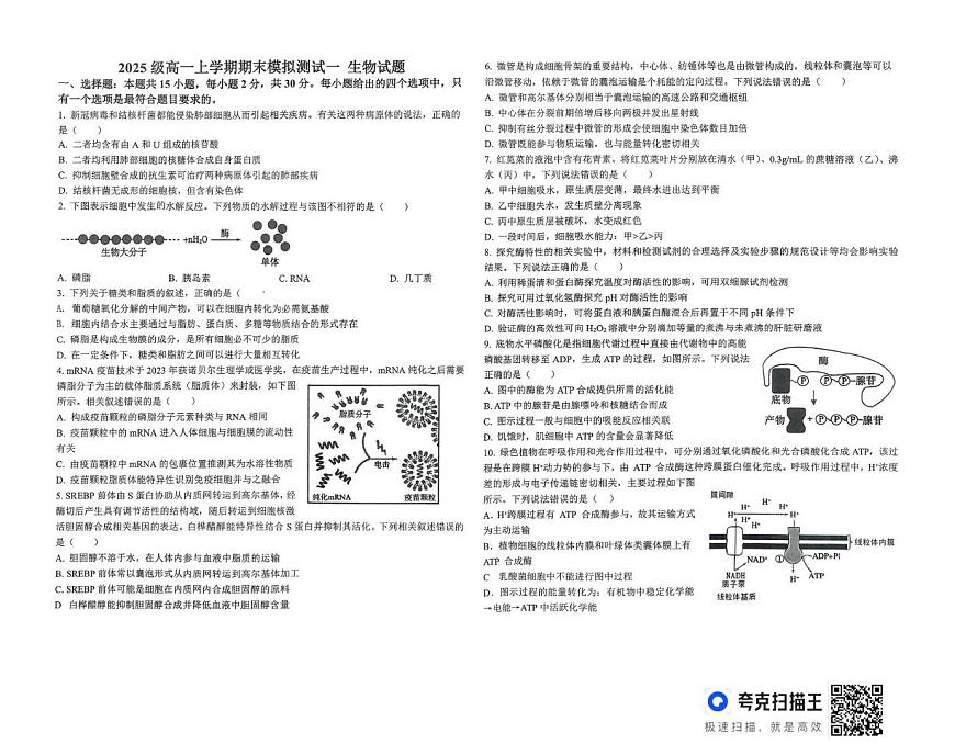 山东省德州市某校2025-2026学年高一上学期期末模拟测试一生物试题第1页
