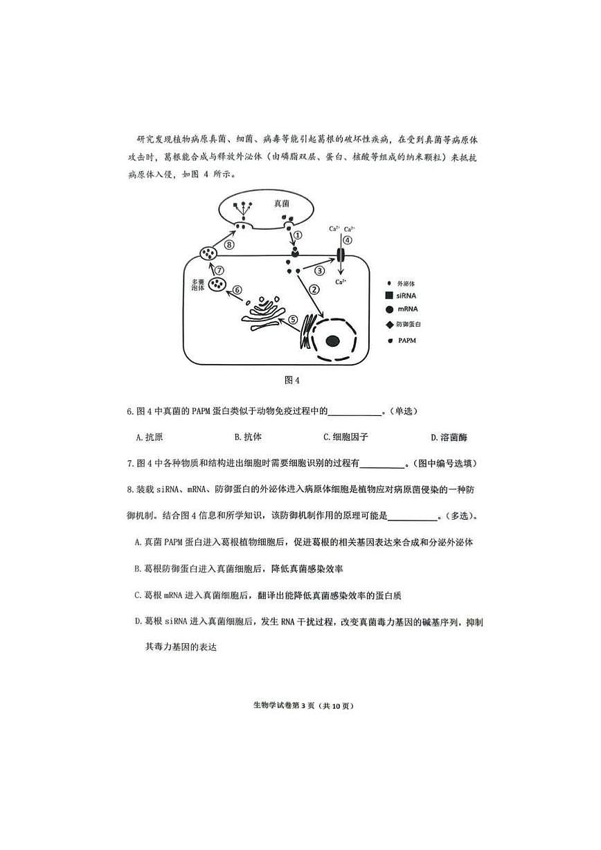 上海市嘉定区2025-2026学年高三上学期第一次质量调研生物学试卷（月考）第3页