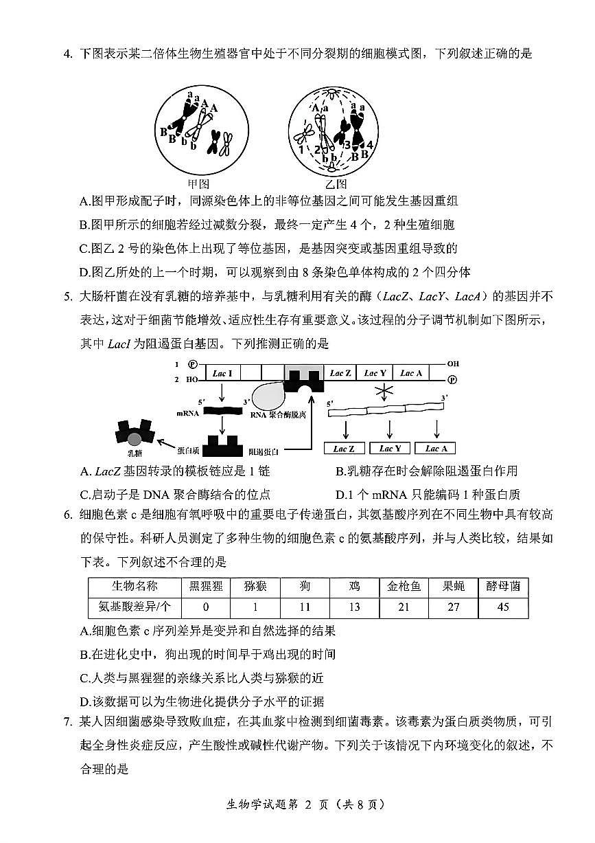 生物-四川省“元三维大联考”2023级高三第二次诊断考试(绵阳二诊B卷)试卷及答案第2页