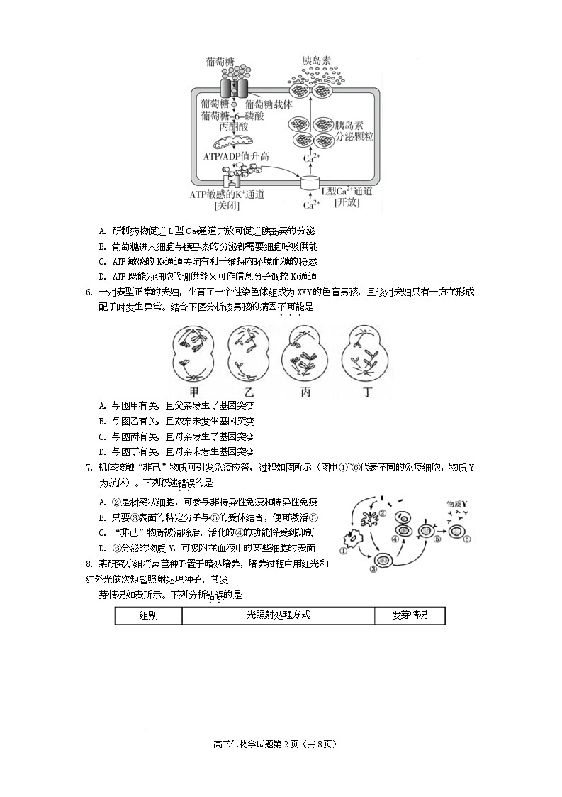 2026届四川省遂宁市高三上学期一诊考试生物 高三生物2025第2页