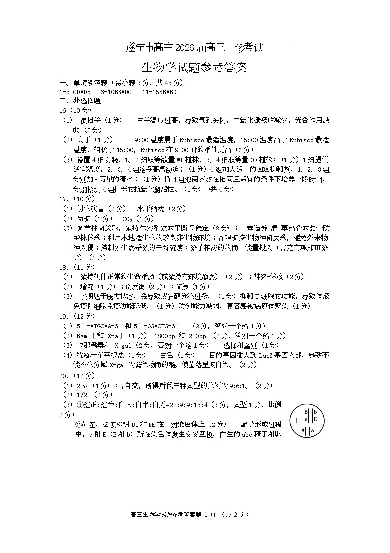 2026届四川省遂宁市高三上学期一诊考试生物 高三生物（答案）2025第1页