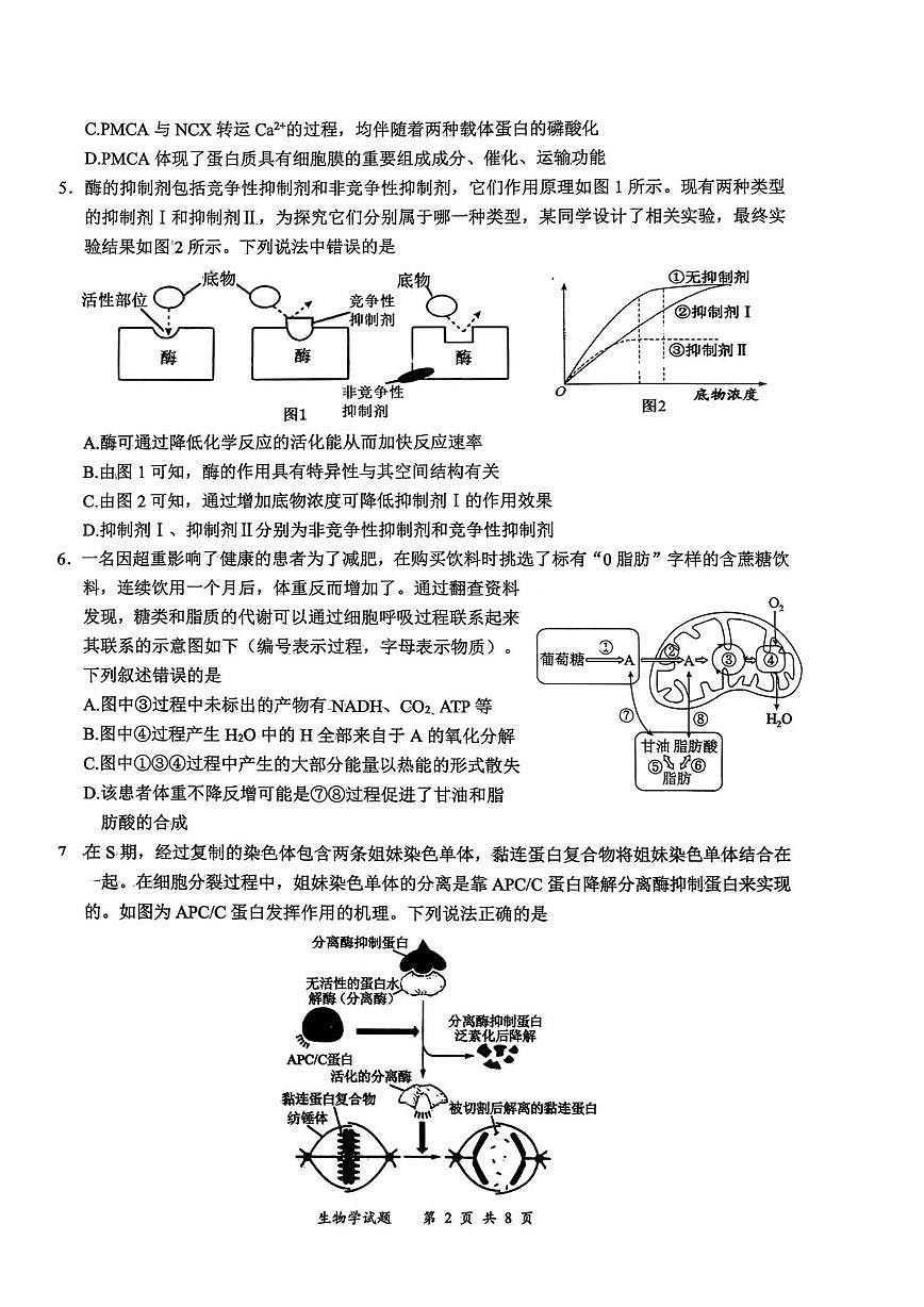 四川省宜宾市普通高中2023级(2026届)高三年级上学期第一次诊断性测试（宜宾一诊）生物试卷（无答案）第2页