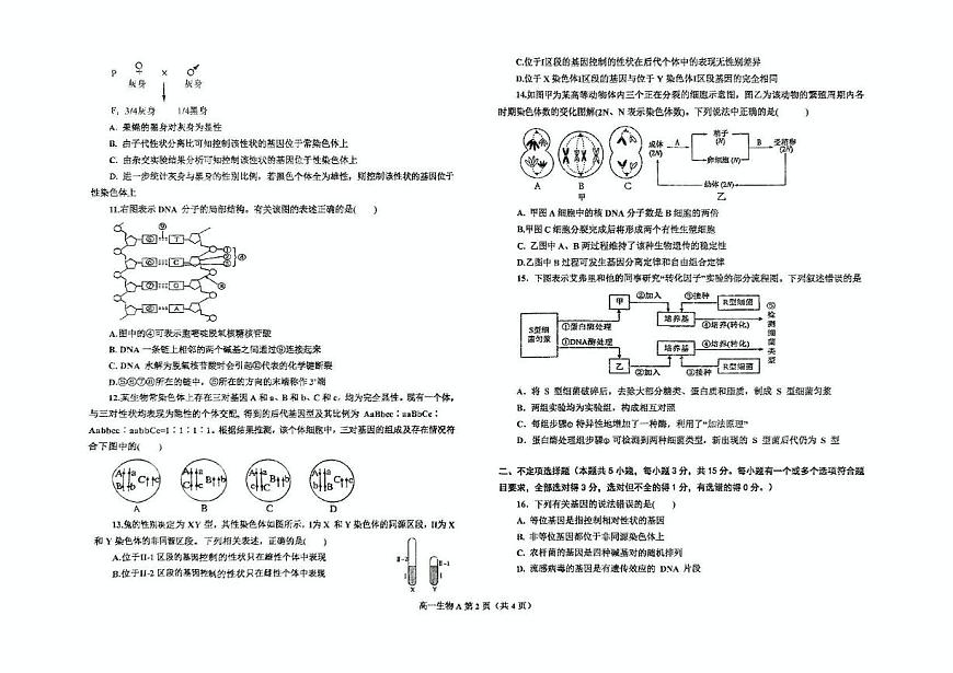 辽宁省鞍山市2024-2025学年高一下学期期中考试 生物试卷（A） 含答案第2页